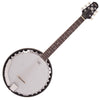 Vintage Pilgrim Progress Guitar Banjo