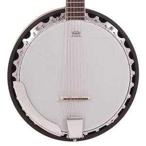 Vintage Pilgrim Progress Guitar Banjo