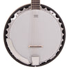 Vintage Pilgrim Progress Guitar Banjo