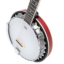Load image into Gallery viewer, Vintage Progress ~ Guitar Banjo