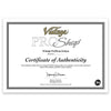 Vintage ProShop Electric Guitar Certificate